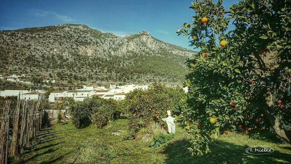 Penzion La Carrihuela Algodonales Exteriér fotografie