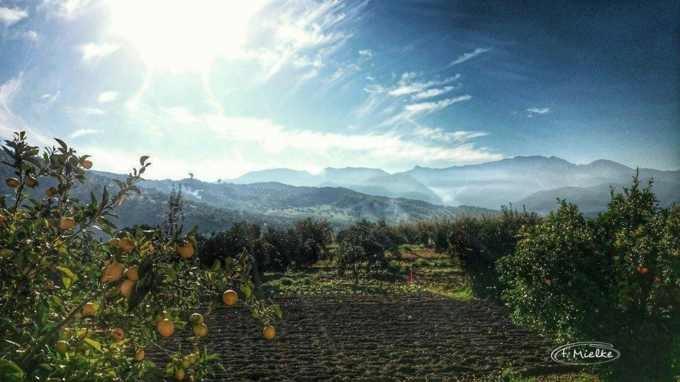 Penzion La Carrihuela Algodonales Exteriér fotografie